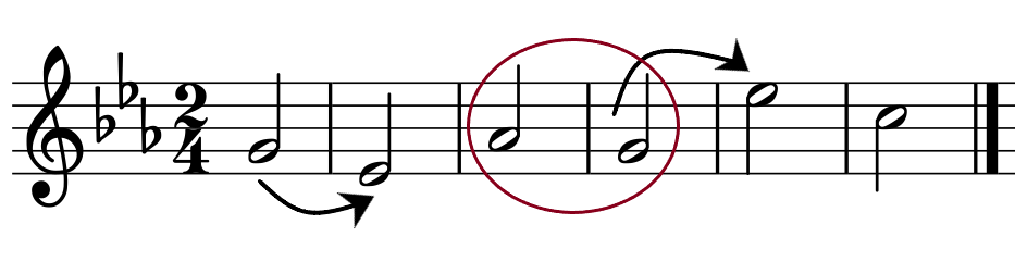 glomérulo