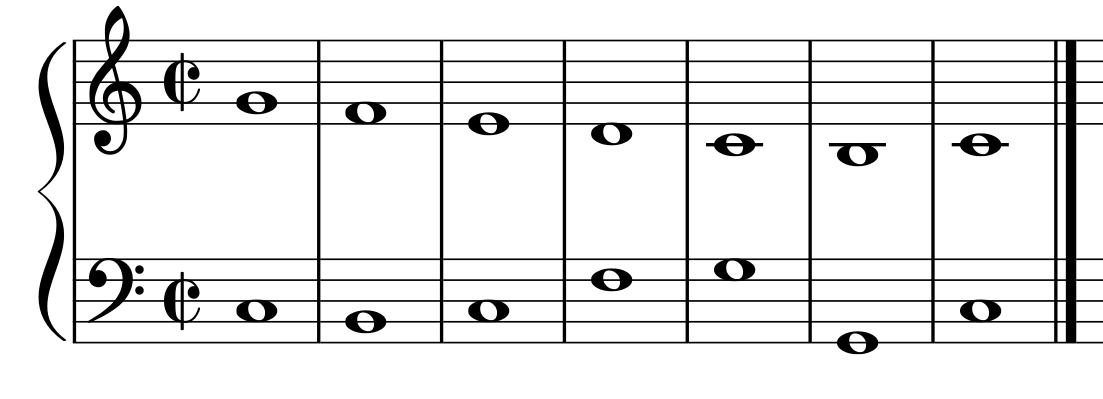 glomérulo
