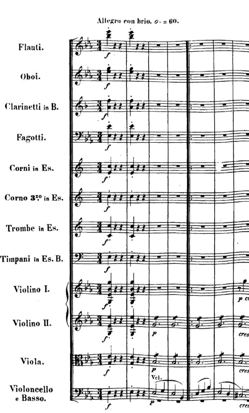 glomérulo