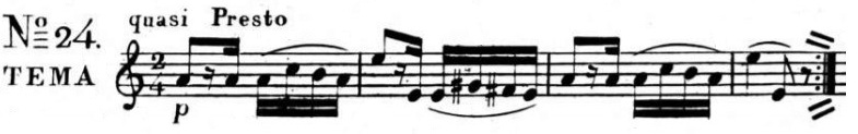 glomérulo