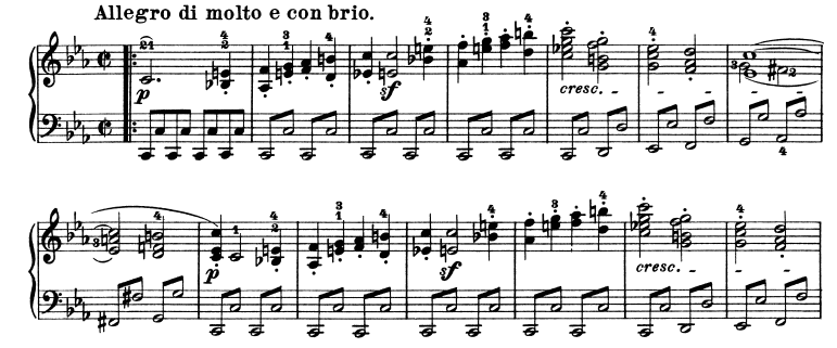 glomérulo