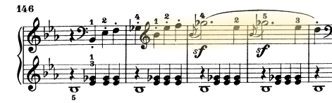 glomérulo