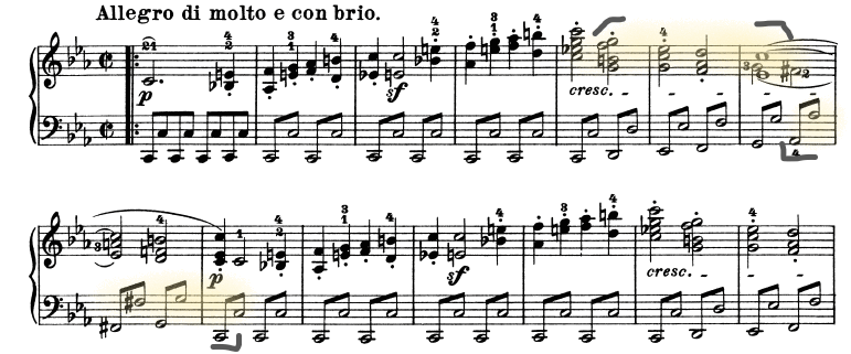 glomérulo