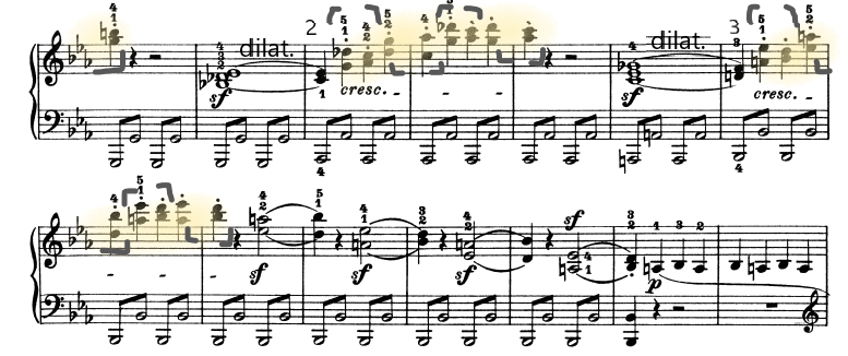 glomérulo