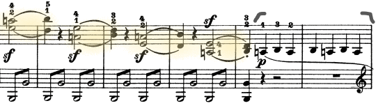 glomérulo