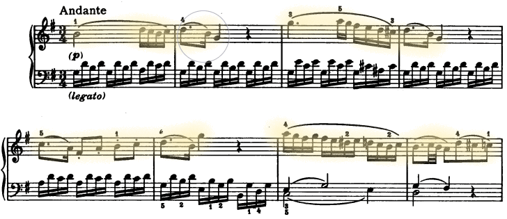 glomérulo