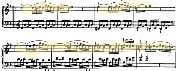 glomérulo