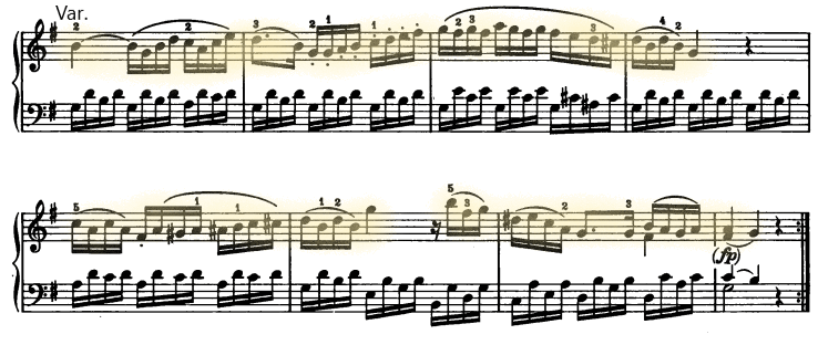 glomérulo
