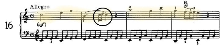 glomérulo
