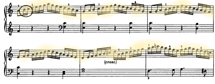 glomérulo