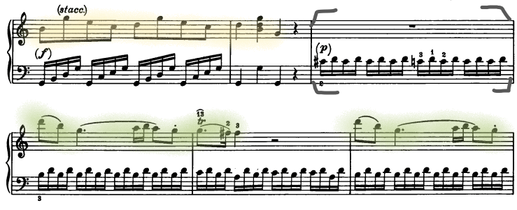 glomérulo