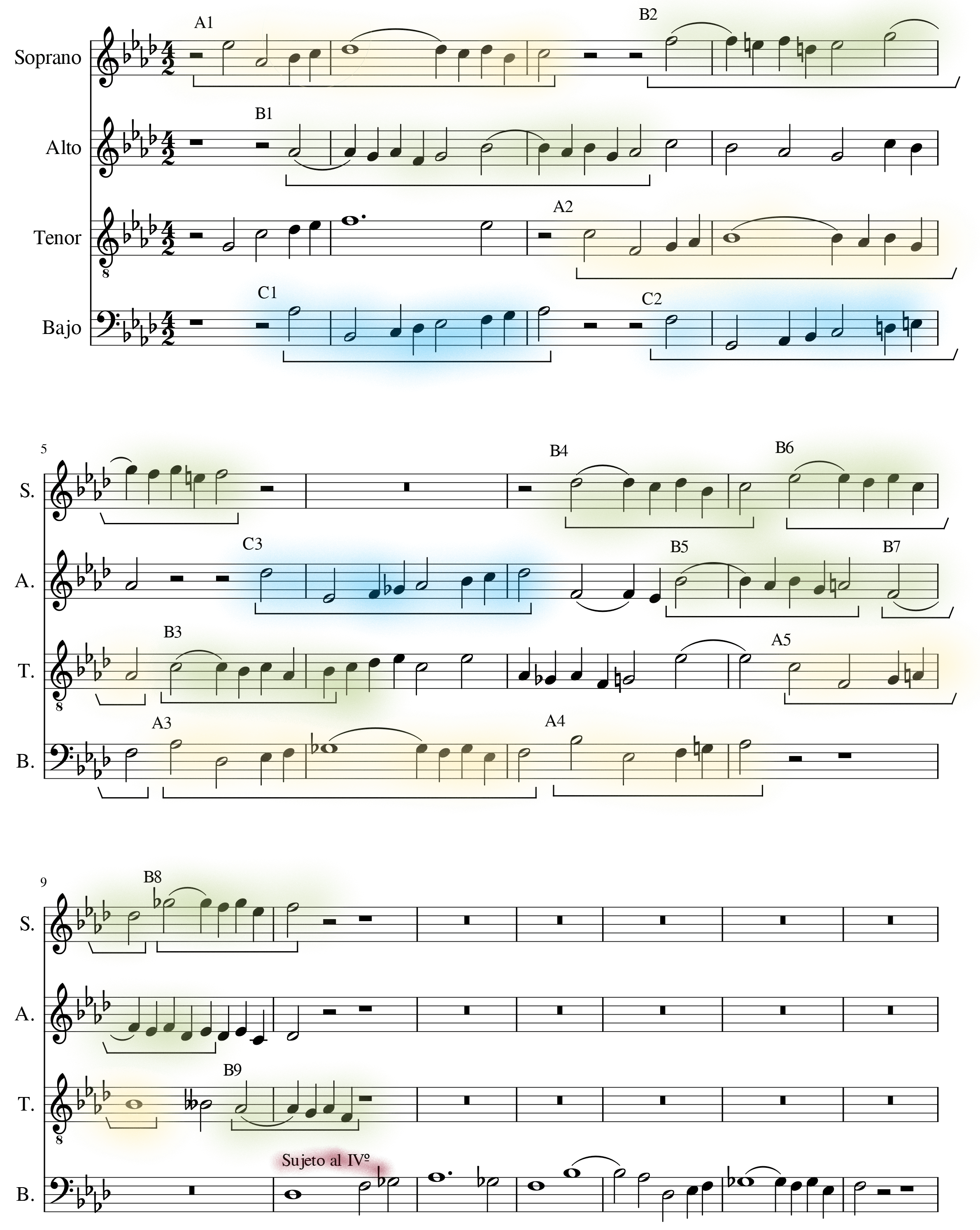 glomérulo