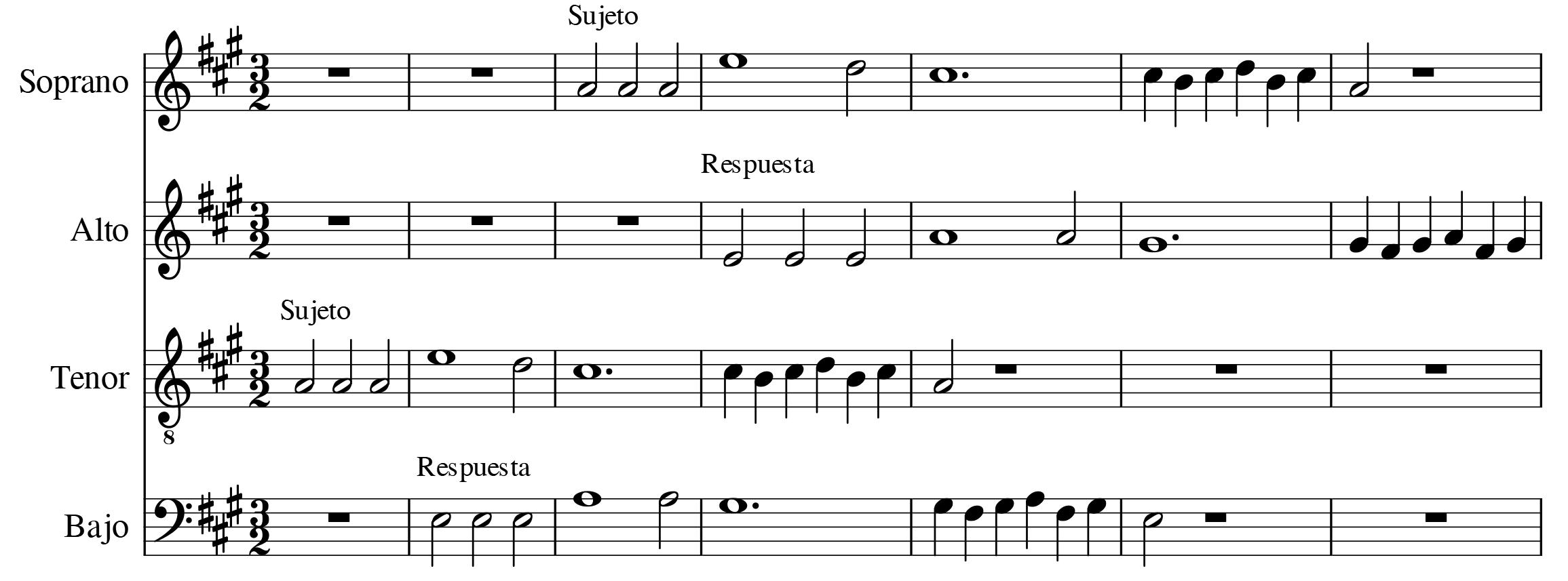 glomérulo