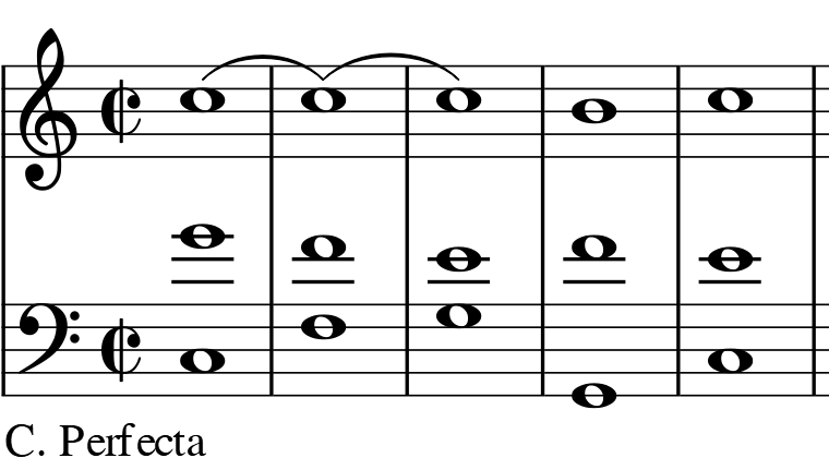 glomérulo