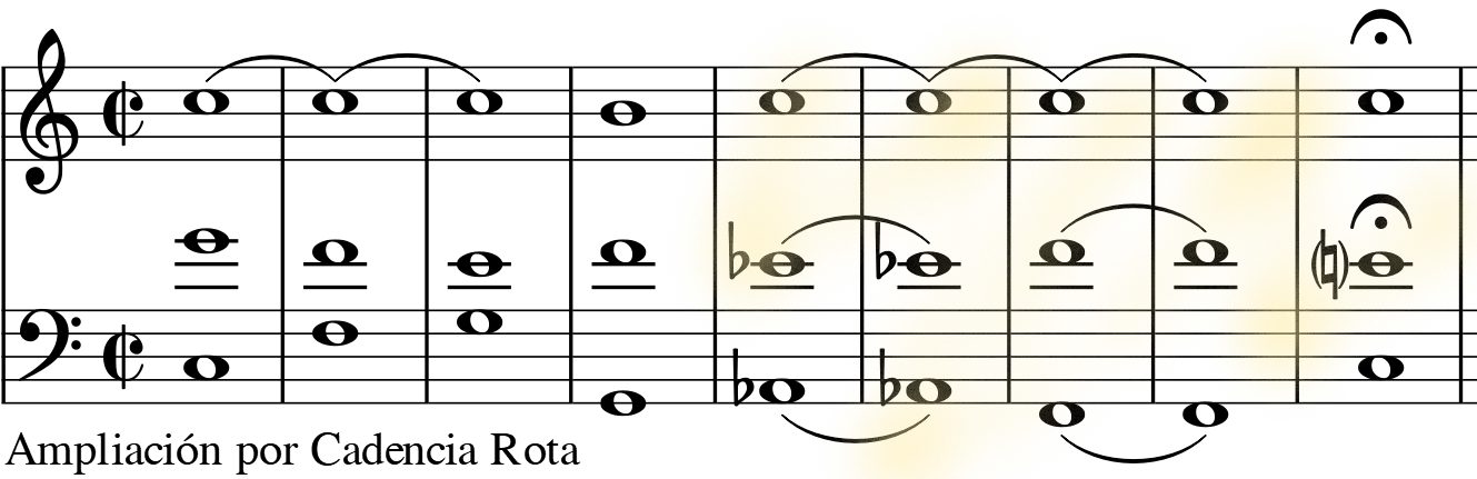 glomérulo