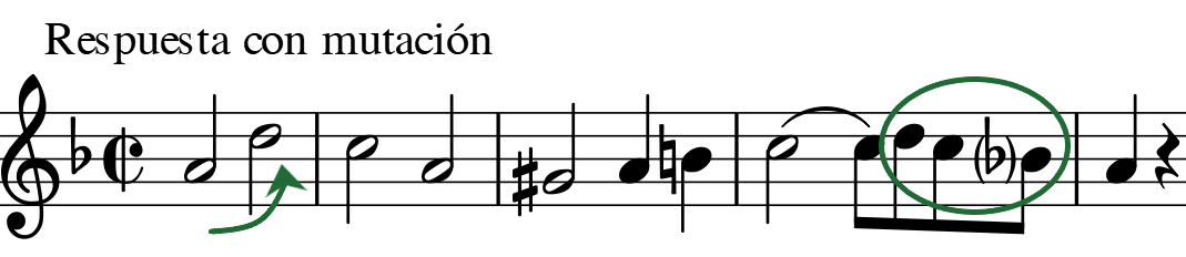 glomérulo