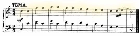 glomérulo