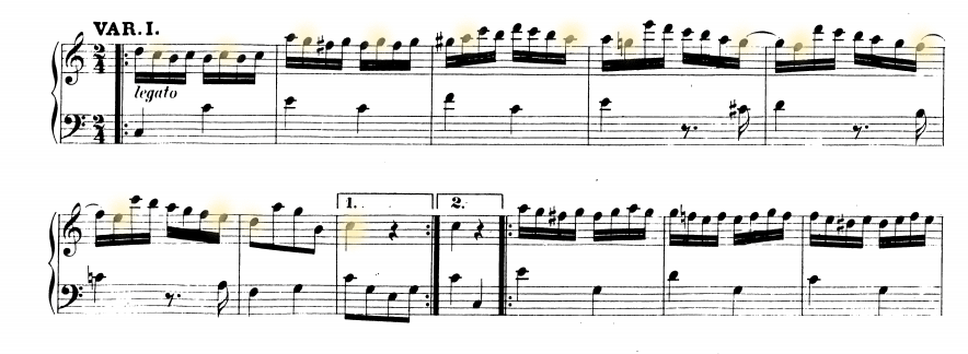 glomérulo