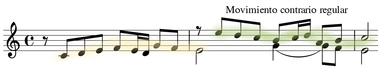 glomérulo