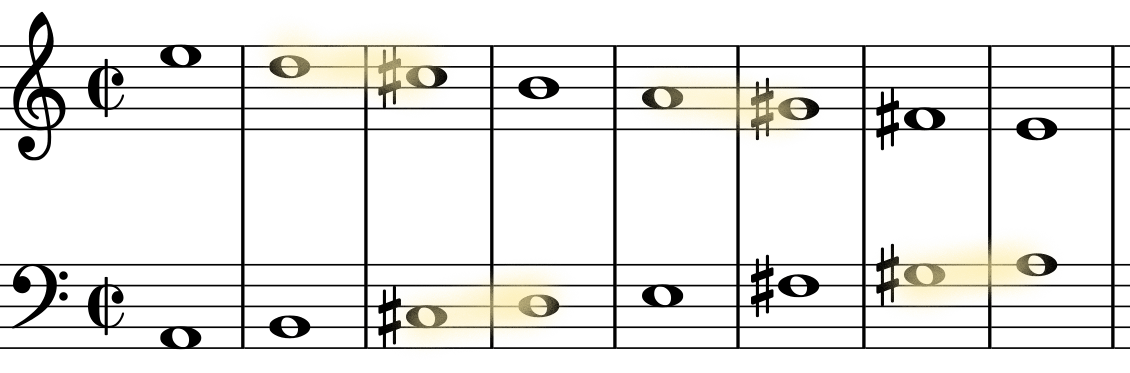 glomérulo