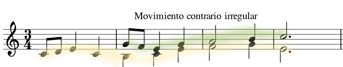 glomérulo
