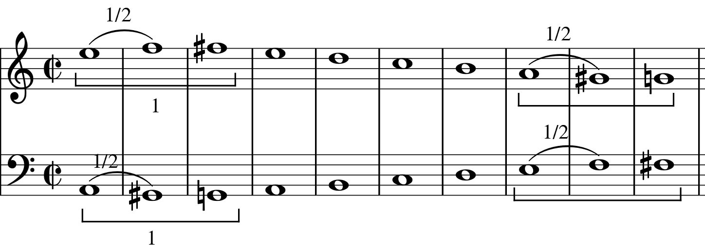 glomérulo