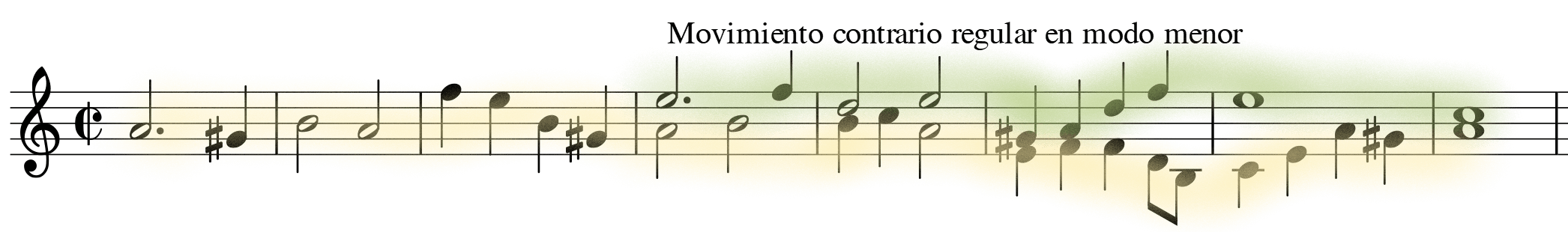 glomérulo
