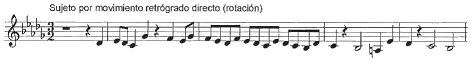 glomérulo