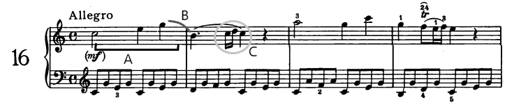 glomérulo