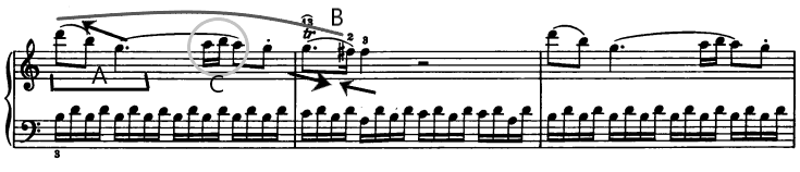 glomérulo